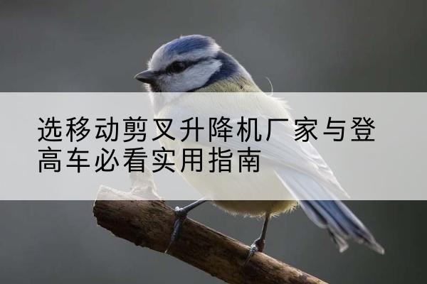 邵东电动升降机厂家-选移动剪叉升降机厂家与登高车必看实用指南