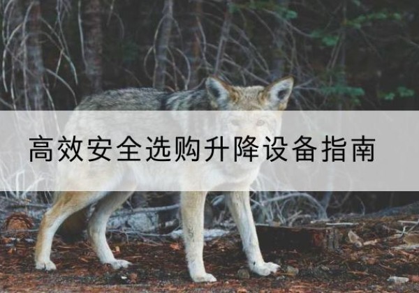 邵东升降货梯厂家推荐-*安全选购升降设备指南